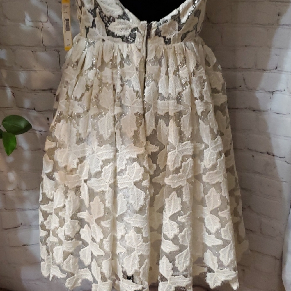 Alice + Olivia Cream Lace Fit-and-Flare Dress - Picture 7 of 16